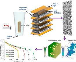 微计算机断层扫描 Micro Ct 测试狗 科研服务