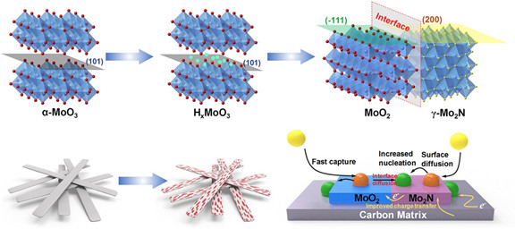 Nano Energy：拓扑氮化法制备MoO2-Mo2N二元纳米带用于Li-S电池