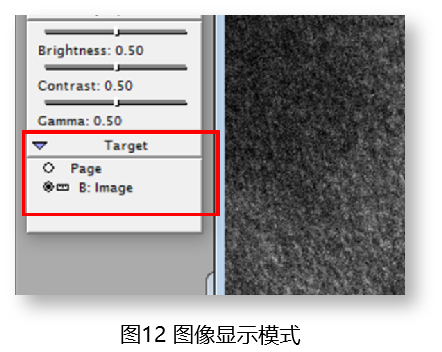 TEM照片处理软件 Digital Micrograph的基础操作-12