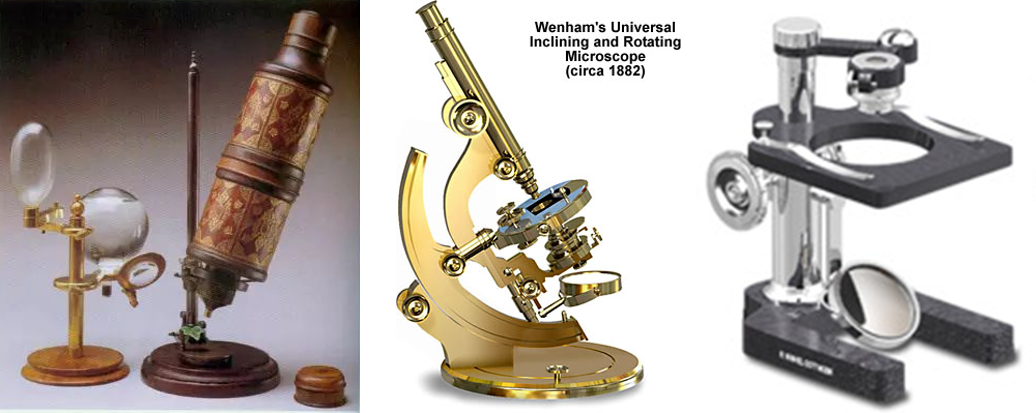 图1 (左) Hans Janssen的显微镜和(右)现存的列文虎克显微镜