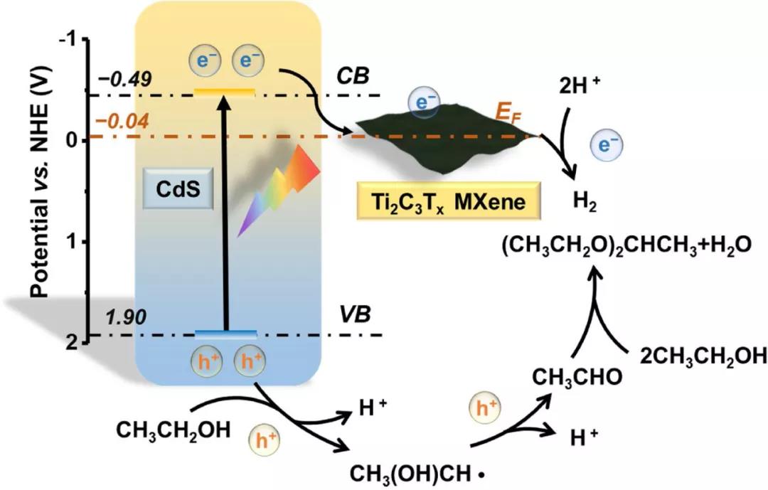 Appl. Catal., B：利用1D/2D CdS-Ti3C2Tx Mxene同时实现可见光驱动的有机物合成及析氢反应