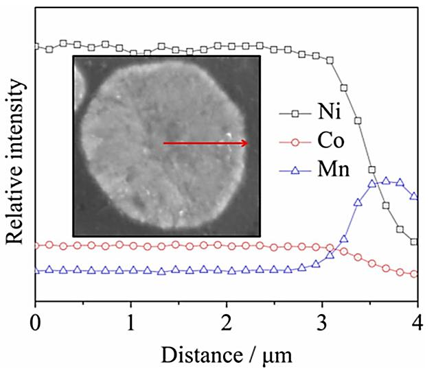 图4U-NCM颗粒的截面EPMA图像