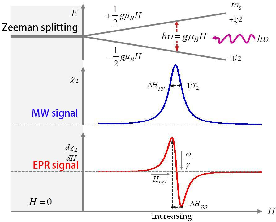 图2塞曼分裂、共振吸收信号与EPR信号的关系