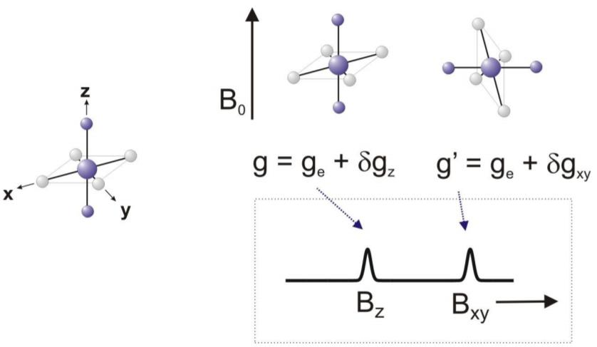 图6磁场中g值与分子方向的相关性