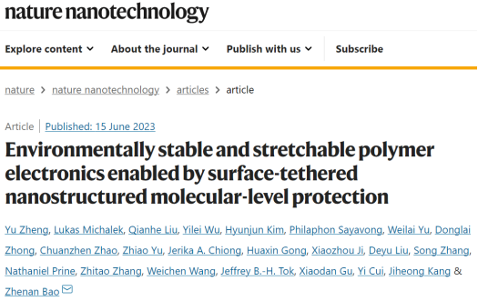 鲍哲南院士团队，最新Nature Nanotechnology！