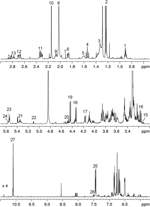 Nuclear Magnetic Resonance (NMR) Spectrum Explanation