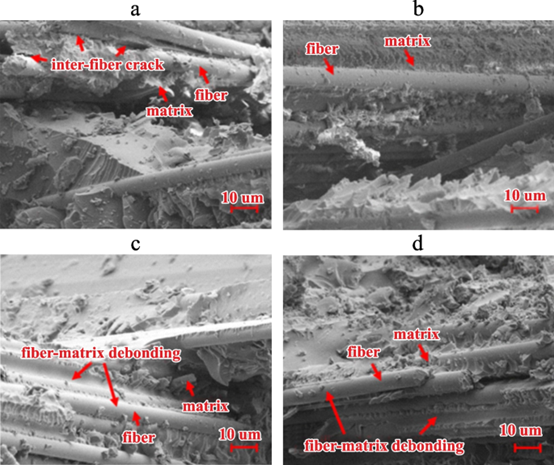 SEM Micrographs of Composite Material