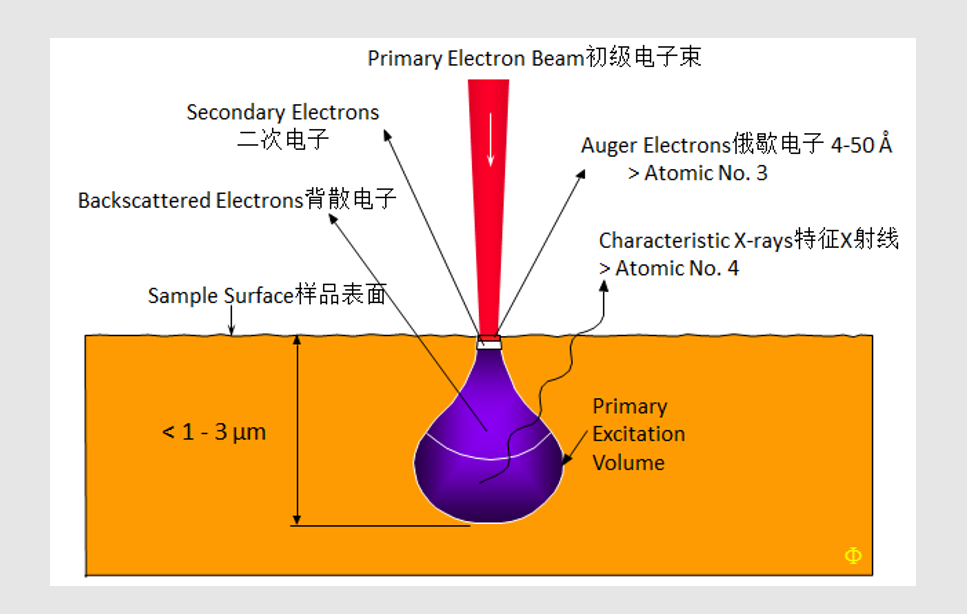 俄歇电子能谱仪（AES） 基本原理与应用
